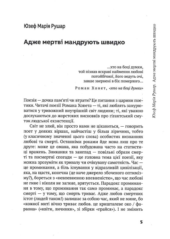 Тому існує ніщо. Нариси про творчість Романа Хонета — фото 6