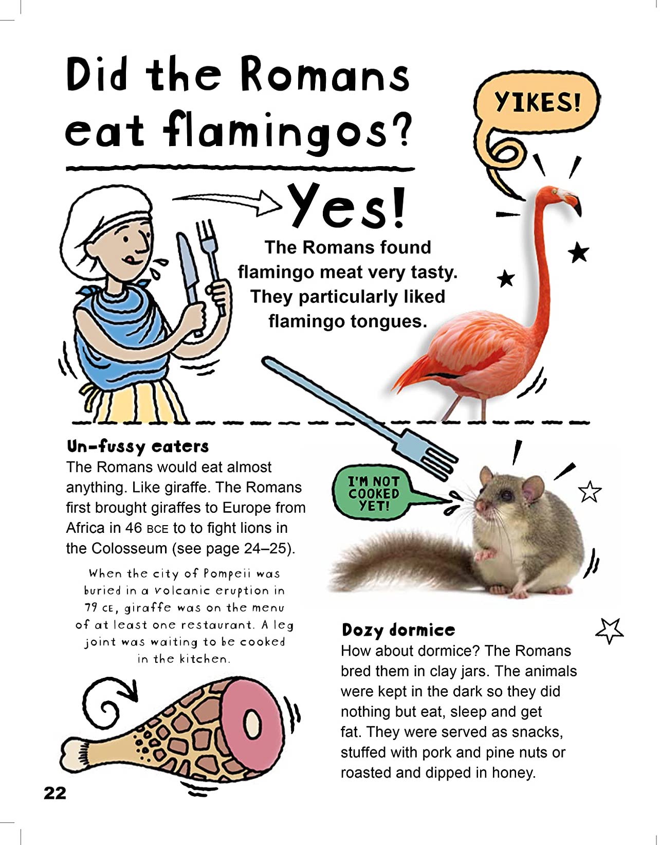 [object Object] «Did Romans really eat flamingos? And other questions about the Romans», автор Тим Кук - фото №6 - миниатюра