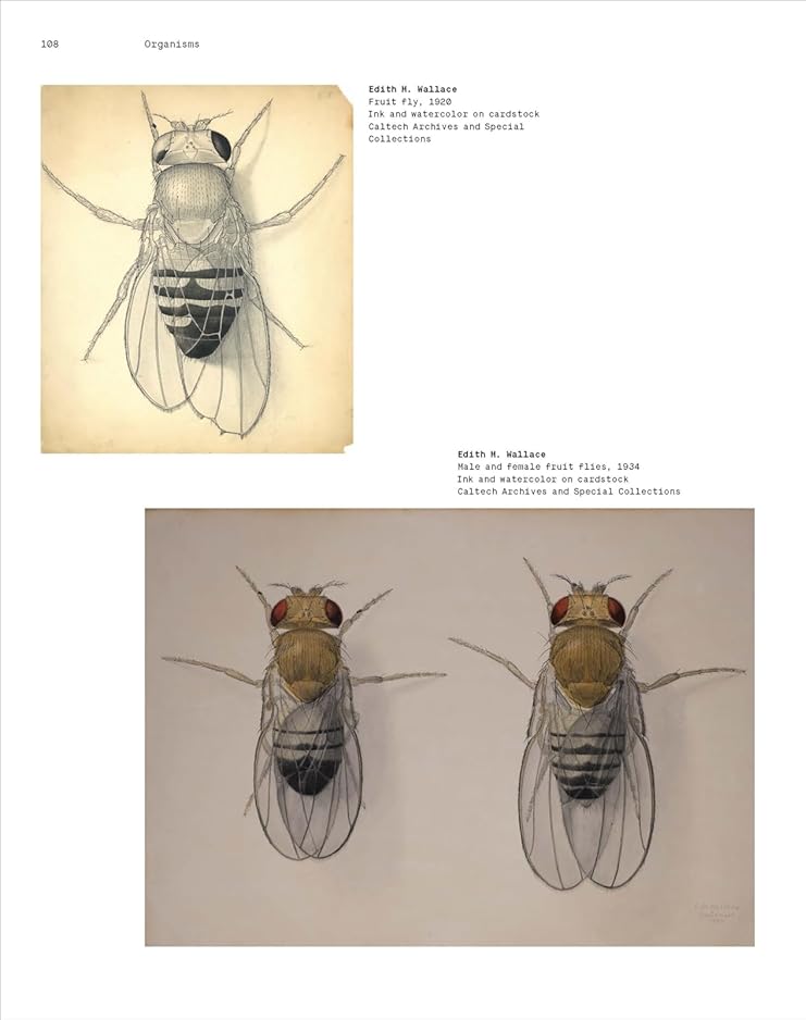 [object Object] «Crossing Over: Art and Science at Caltech, 1920-2020» - фото №6 - миниатюра