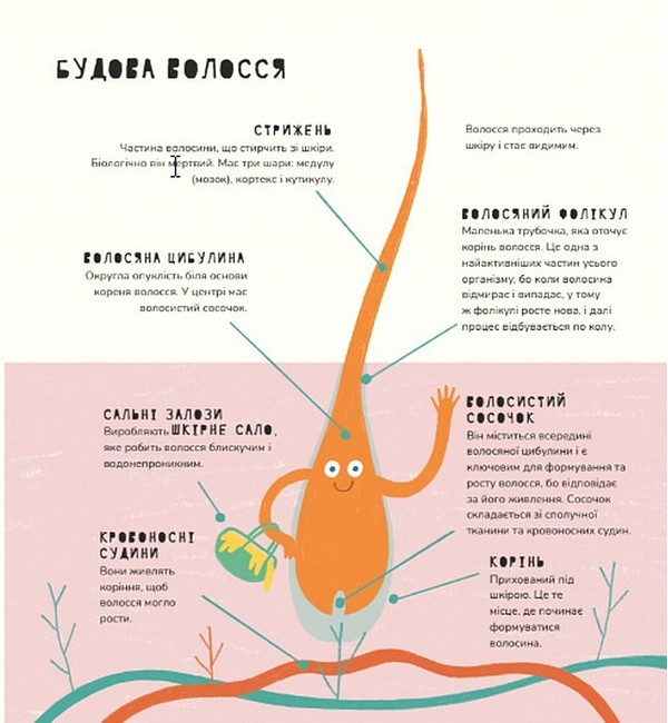 Книжка про волосся — фото 10