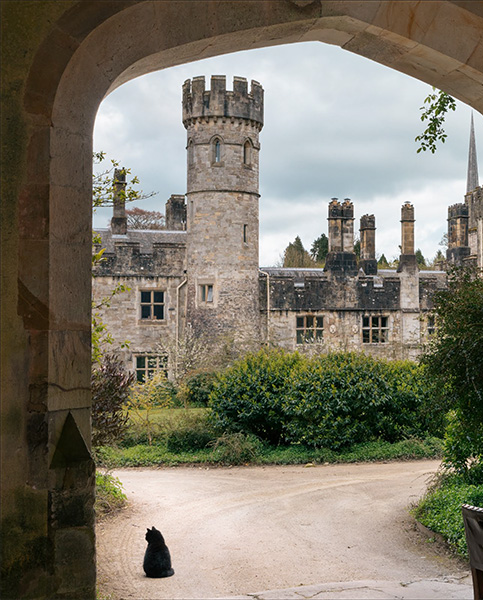 [object Object] «Lismore Castle: Food and Flowers from a Historic Garden», автор Лора Кавендіш - фото №6 - мініатюра