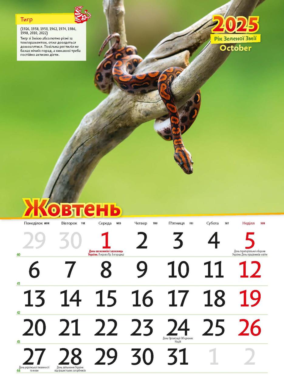[object Object] «Астрокалендар 2025. Рік зеленої змії» - фото №3 - мініатюра