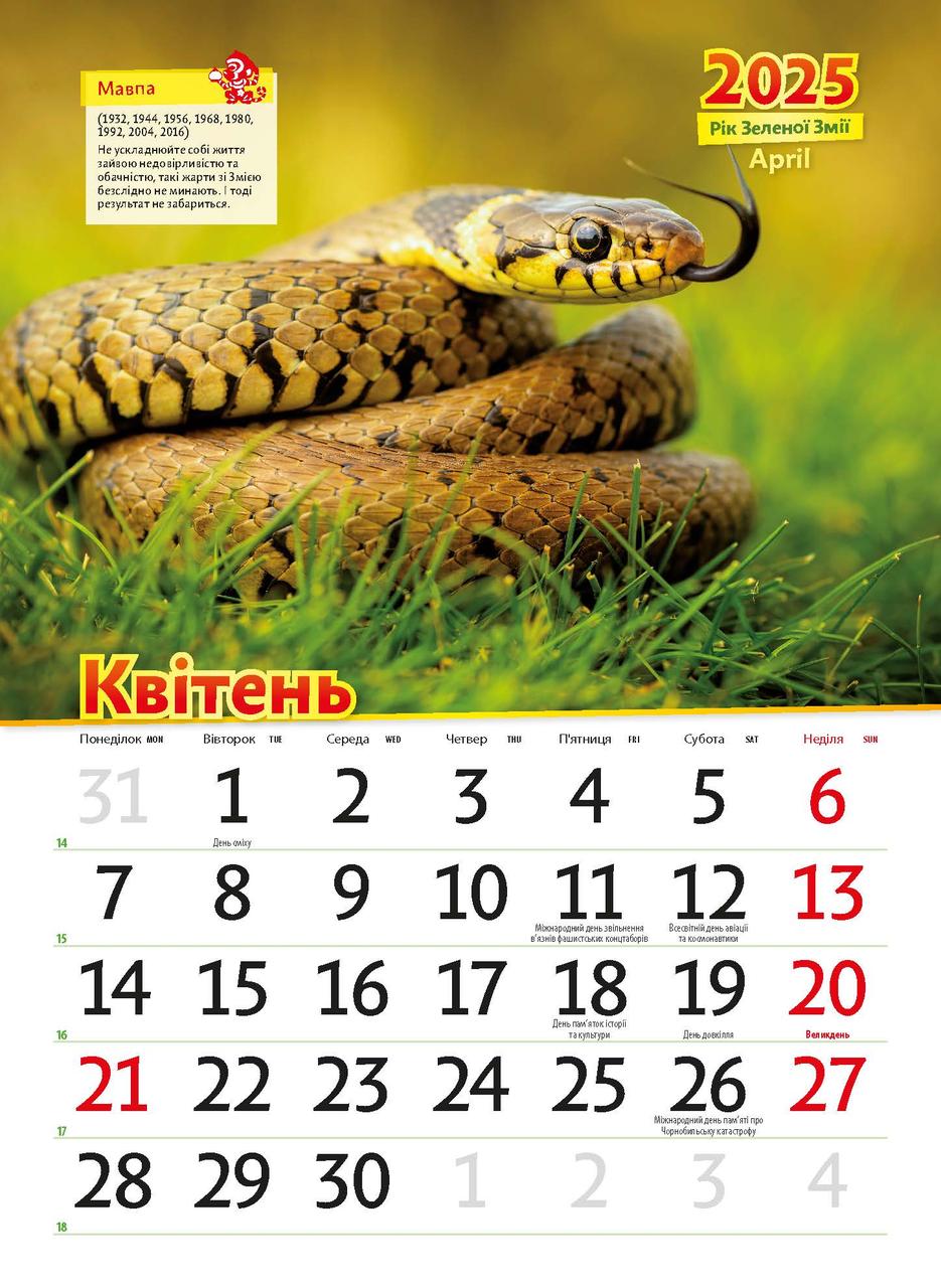 [object Object] «Астрокалендар 2025. Рік зеленої змії» - фото №4 - мініатюра