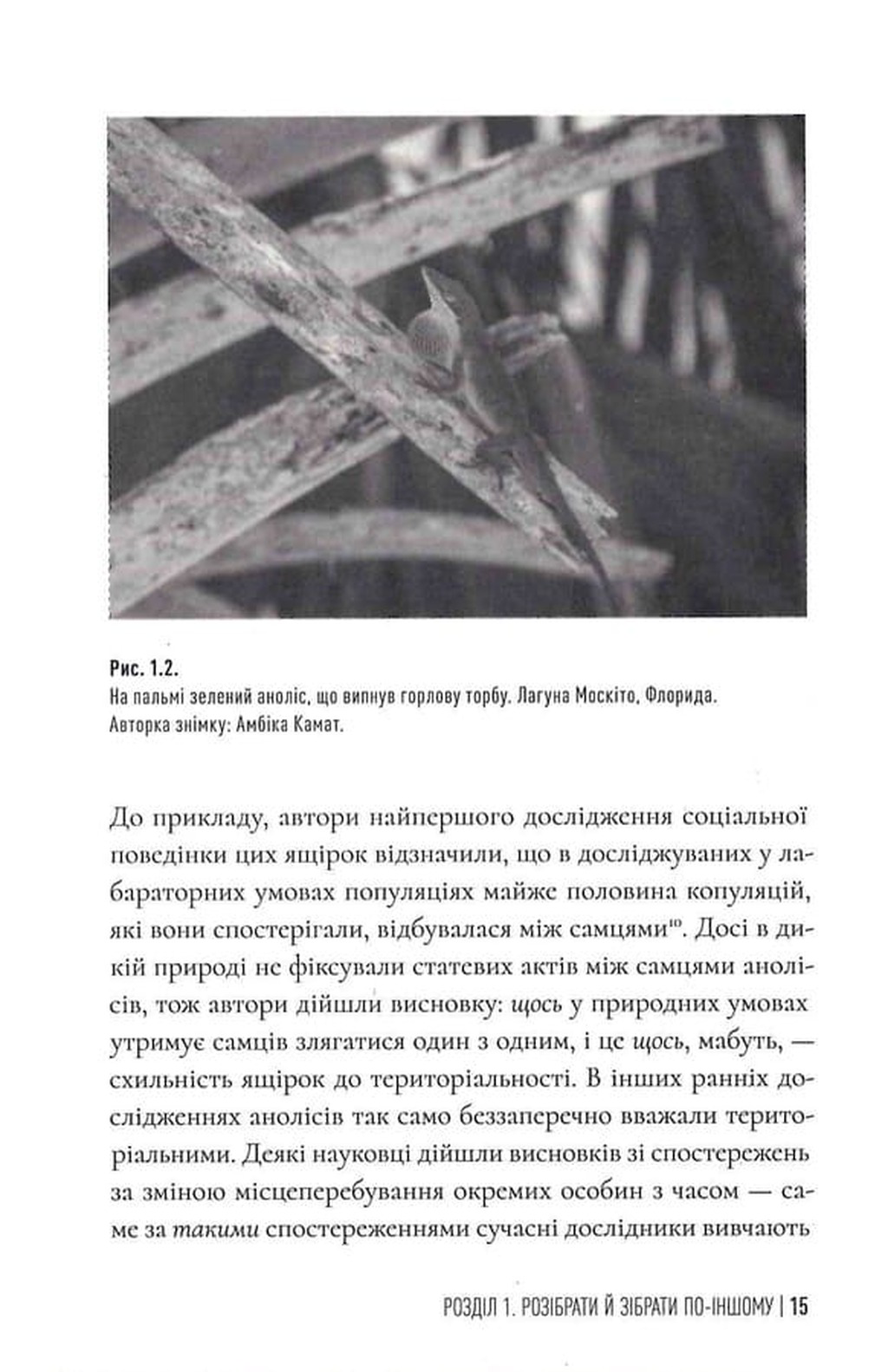 Фемінізм у дикій природі — фото 14