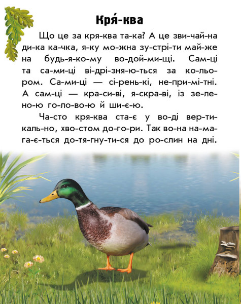 [object Object] «Тварини річок та морів», автор Юлия Каспарова - фото №6 - миниатюра