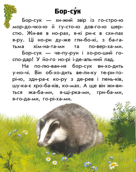 [object Object] «Тварини лісів  », автор Юлия Каспарова - фото №6 - миниатюра