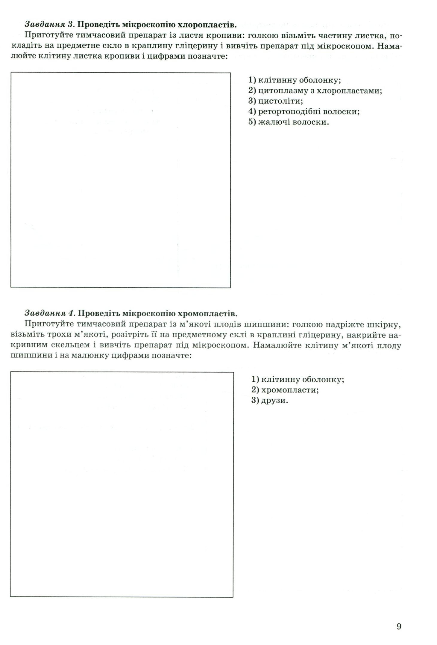 Ботаніка — фото 8