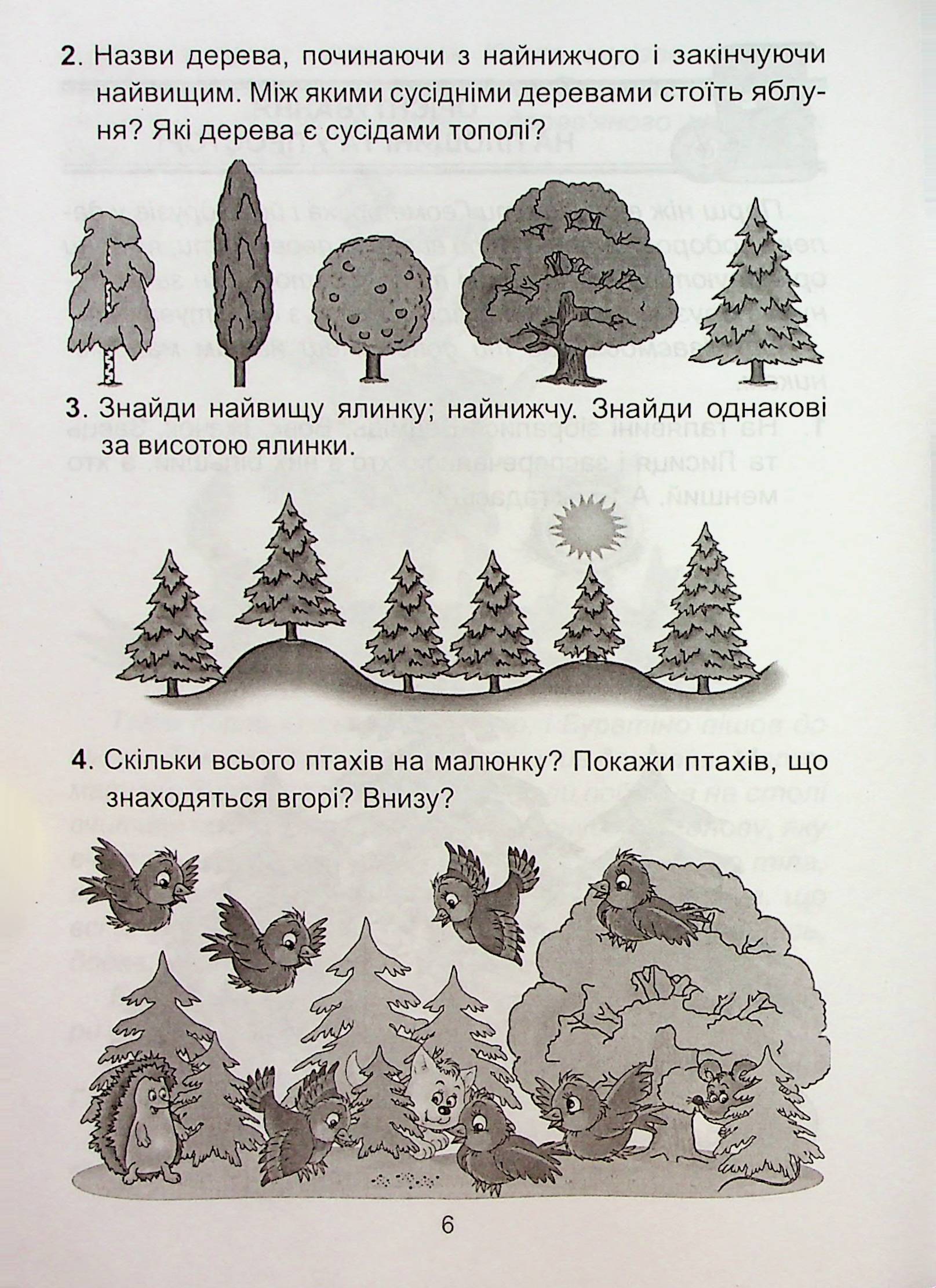Геометрична океанія. 1-2 класи. Книга 1 — фото 6
