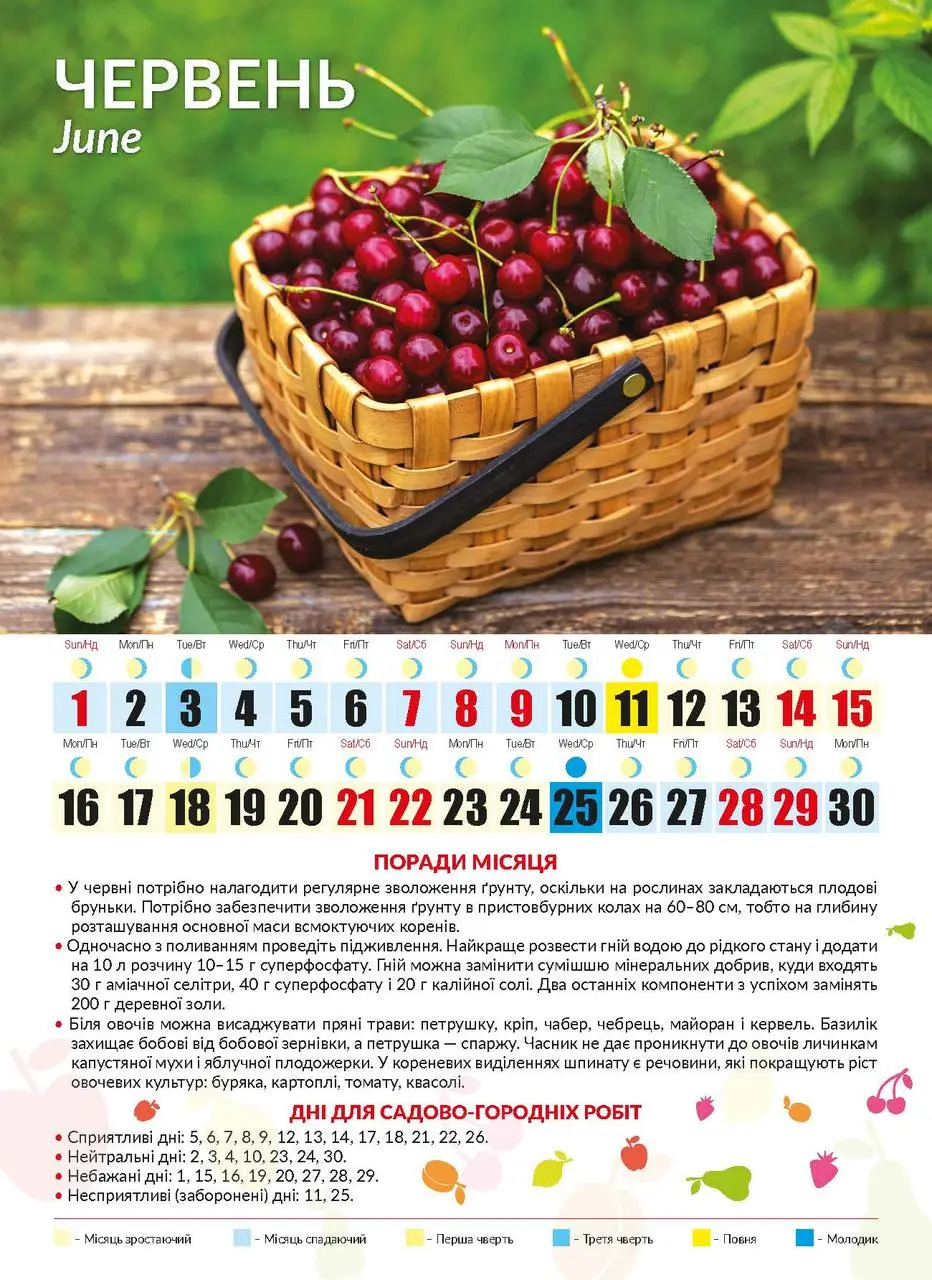 [object Object] «Календар на 2025. Світовид міні. Посівний календар дачника» - фото №6 - миниатюра