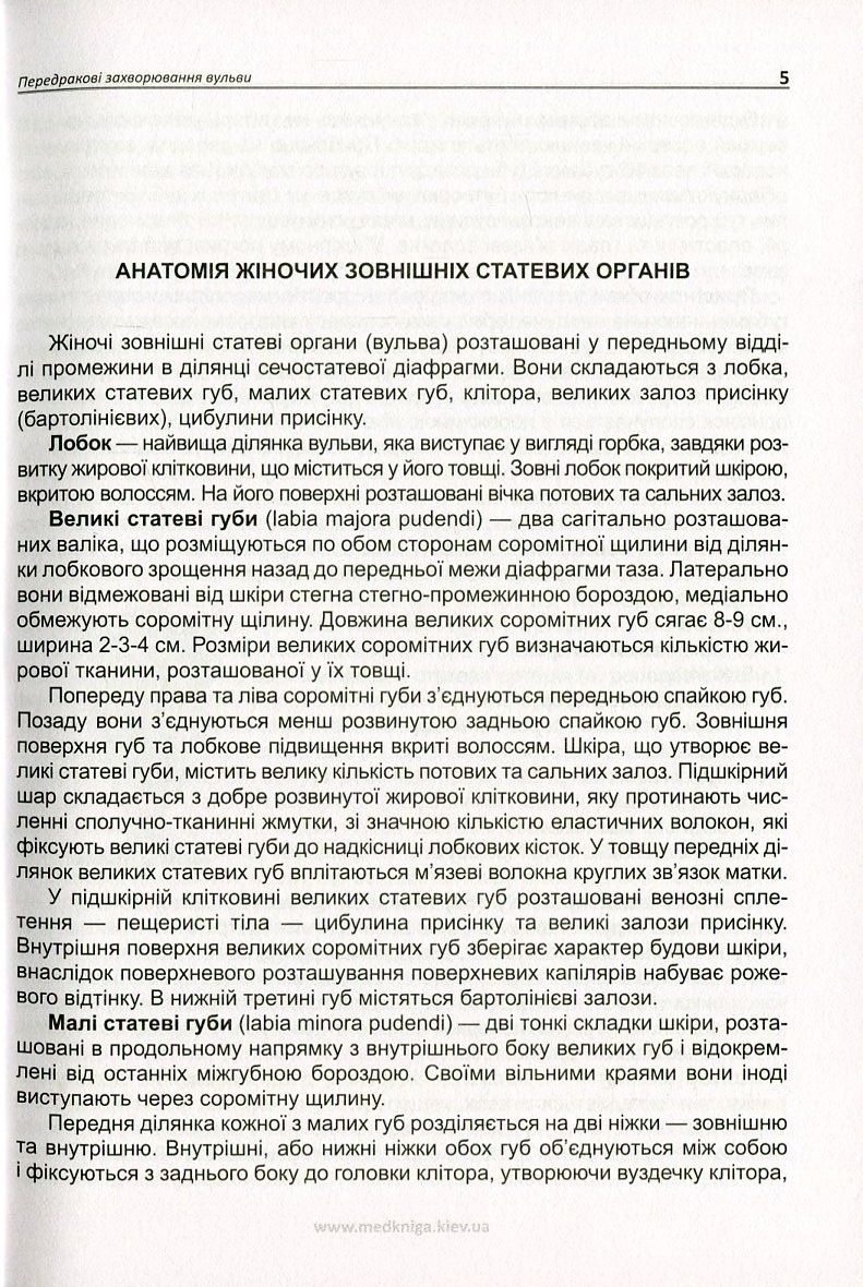 Передракові захворювання вульви. Вульварні інтраепітеліальні неоплазії — фото 6