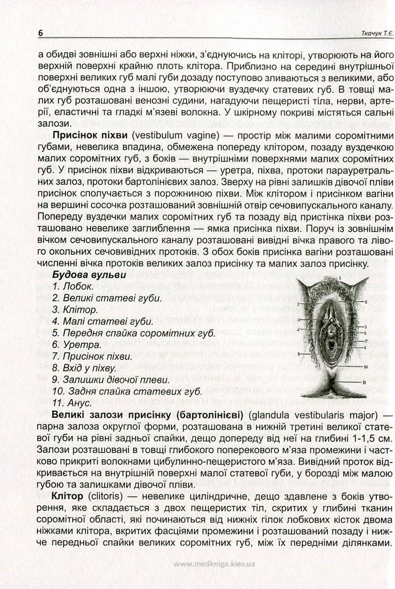 Передракові захворювання вульви. Вульварні інтраепітеліальні неоплазії — фото 7