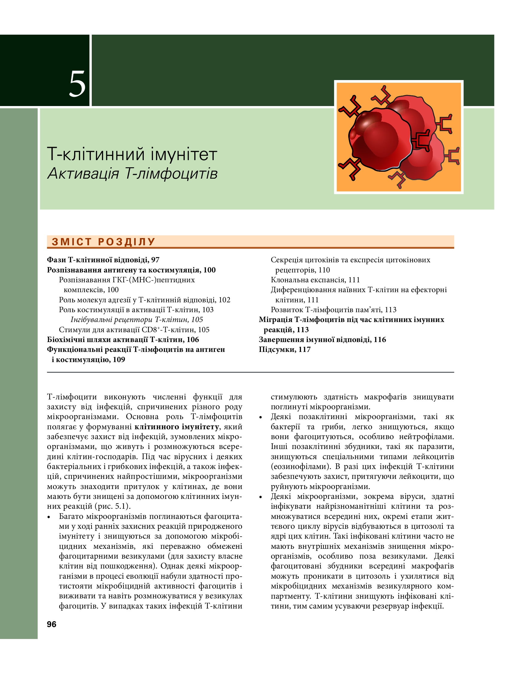 Основи імунології. Функції та розлади імунної системи — фото 26