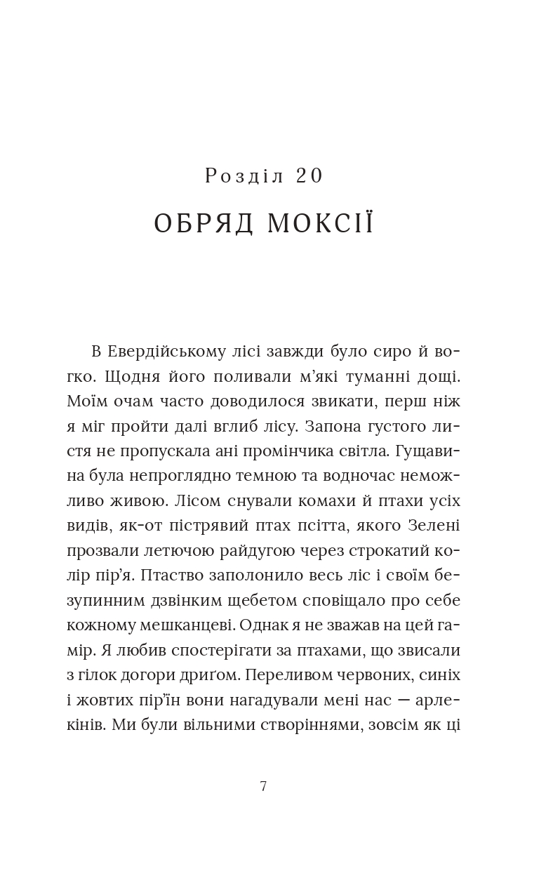 Червоний Арлекін. Книга 3. Повстання Арлекіна — фото 9