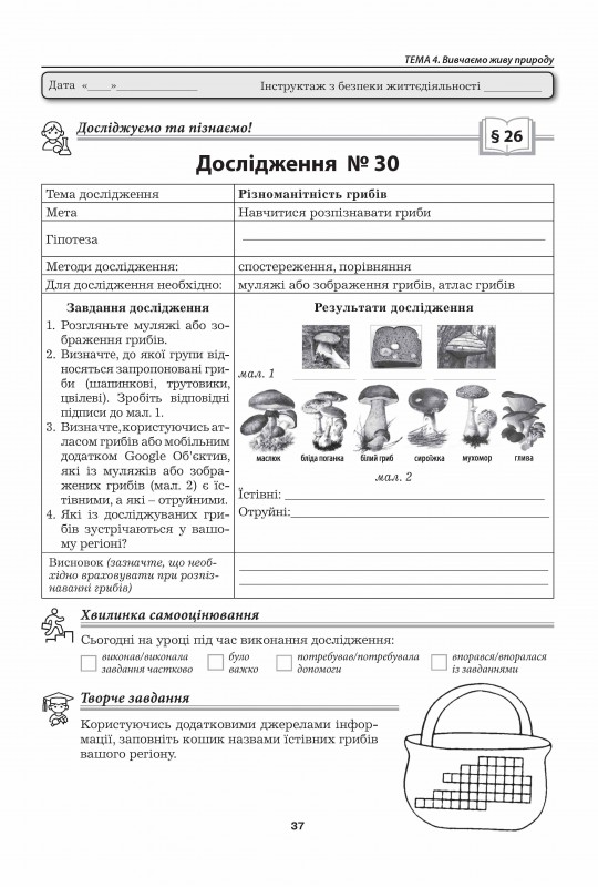 Пізнаємо природу. 5 клас. Практикум — фото 8