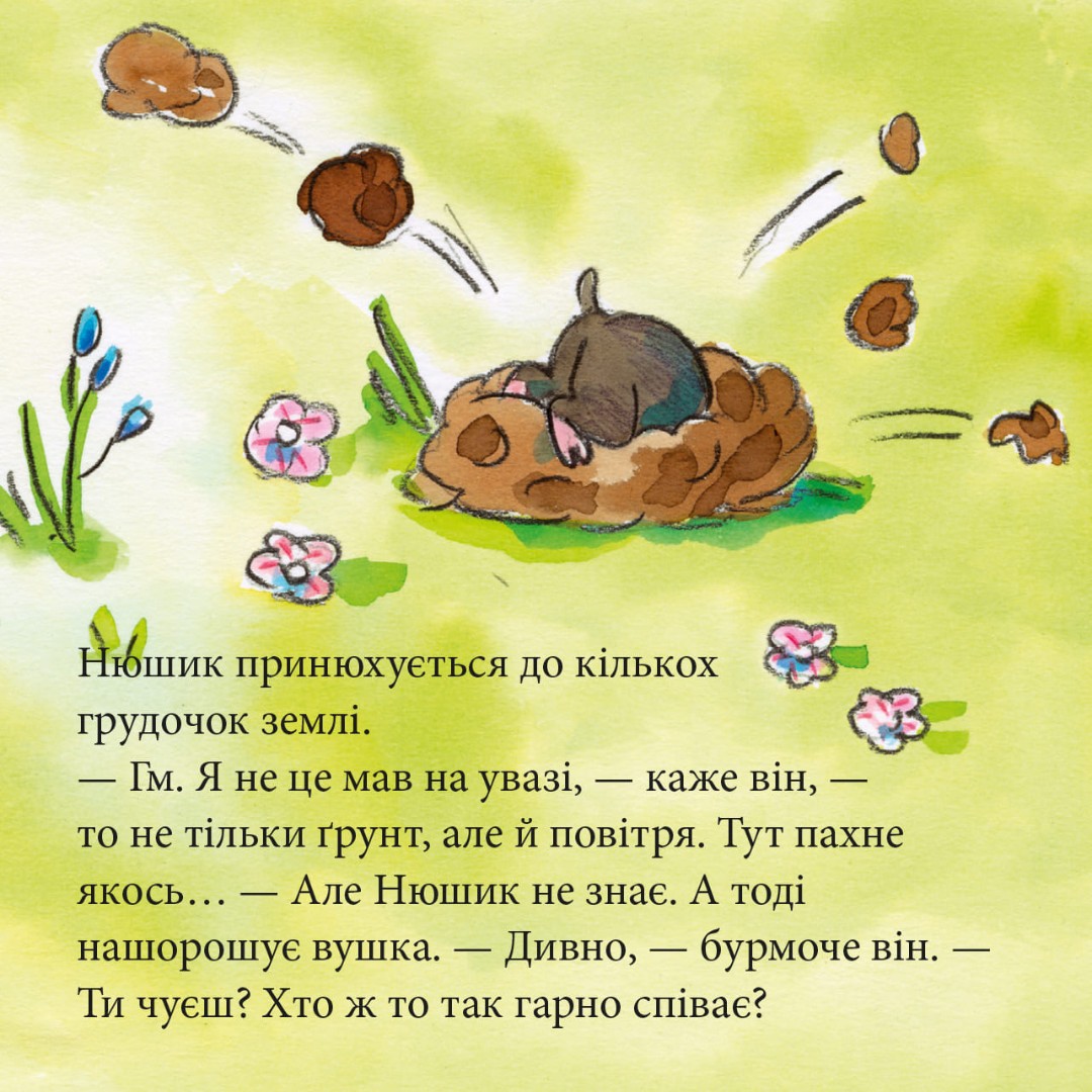 Піксі-книжка. Нюшик розпитує тварин — фото 7