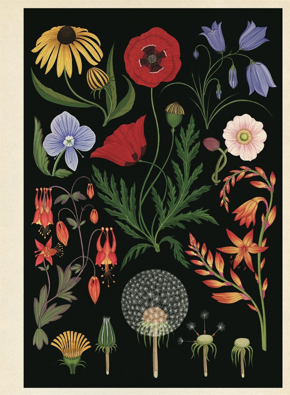 [object Object] «Botanicum Poster Book», автор Кетрін Вілліс - фото №3 - мініатюра