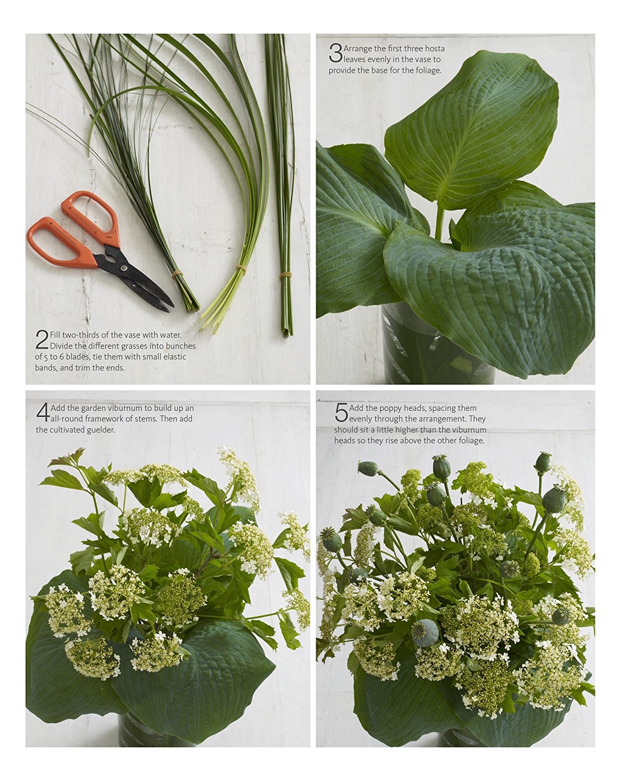[object Object] «Flower Arranging. How to Arrange Flowers from your Florist and from your Garden», авторів Марк Велфорд, Стівен Вікс - фото №2 - мініатюра