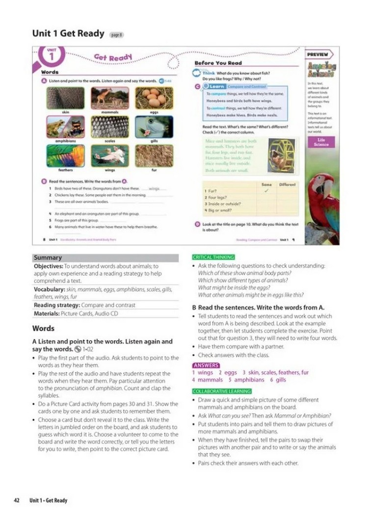 [object Object] «Oxford Discover. Level 2. Teacher's Pack», авторів С'юзен Ріверс, Леслі Кустофф - фото №5 - мініатюра
