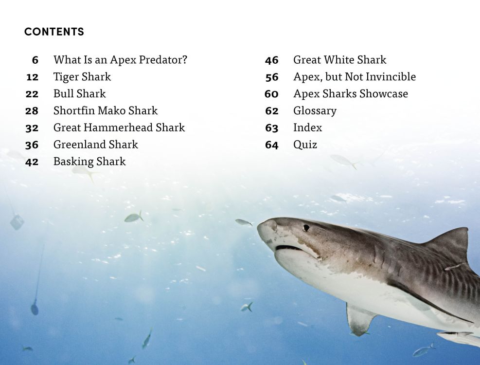 [object Object] «Shark. Apex Predator» - фото №5 - миниатюра