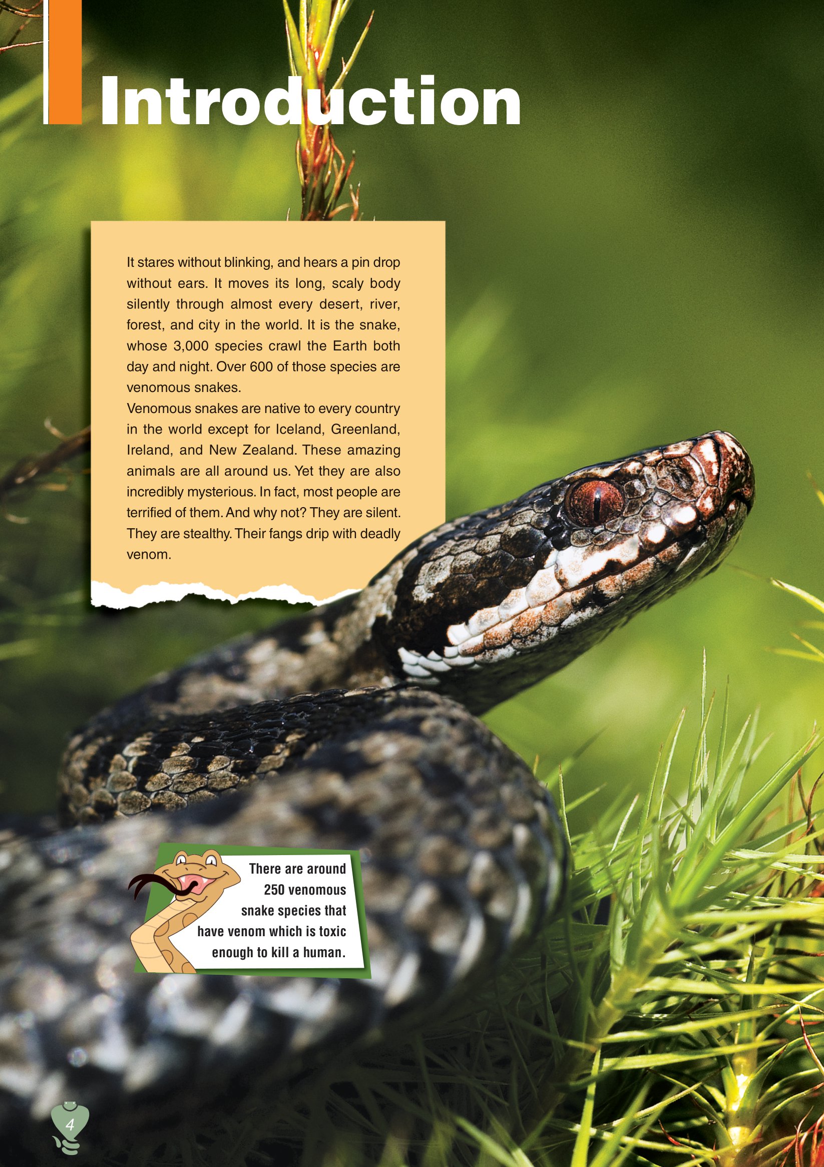 [object Object] «Venomous Snakes. Reader (with DigiBooks App)», авторов Вирджиния Эванс, Дженни Дули - фото №2 - миниатюра