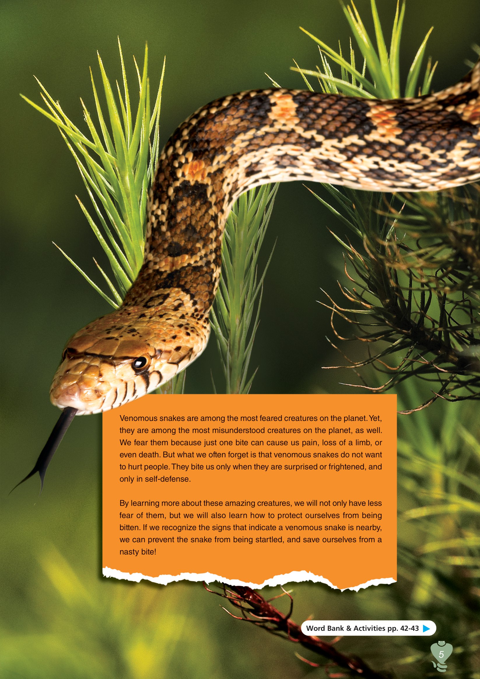 [object Object] «Venomous Snakes. Reader (with DigiBooks App)», авторов Вирджиния Эванс, Дженни Дули - фото №3 - миниатюра