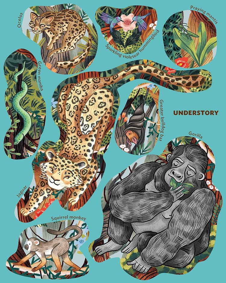 [object Object] «Creatures of the Rainforest Sticker Poster», авторов Элисон Скай, Фиона Оушен - фото №5 - миниатюра