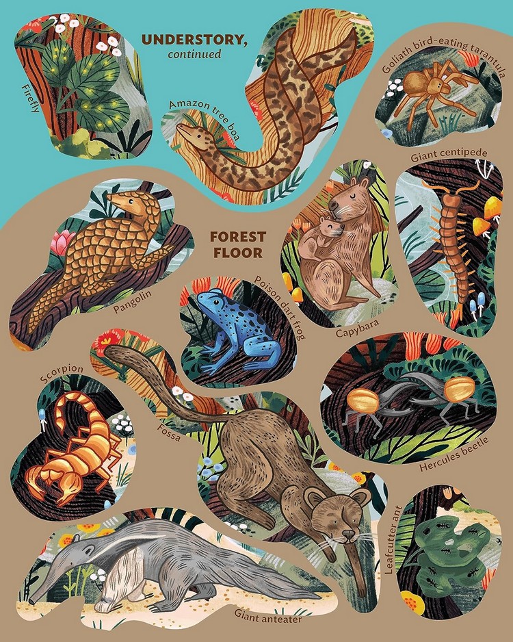 [object Object] «Creatures of the Rainforest Sticker Poster», авторов Элисон Скай, Фиона Оушен - фото №4 - миниатюра