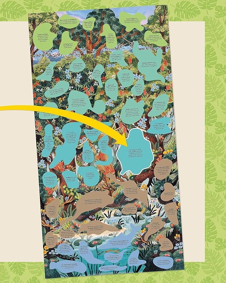 [object Object] «Creatures of the Rainforest Sticker Poster», авторов Элисон Скай, Фиона Оушен - фото №2 - миниатюра