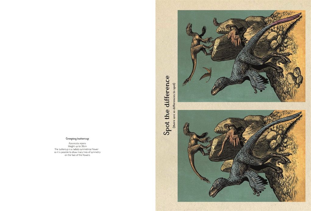 [object Object] «Dinosaurium Activity Book», автор Лили Мюррей - фото №3 - миниатюра
