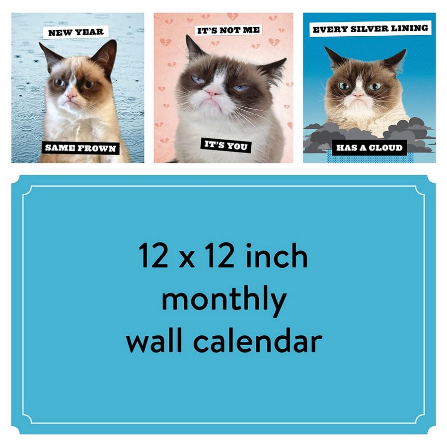 [object Object] «2024 Wall Cal: Grumpy Cat» - фото №2 - миниатюра