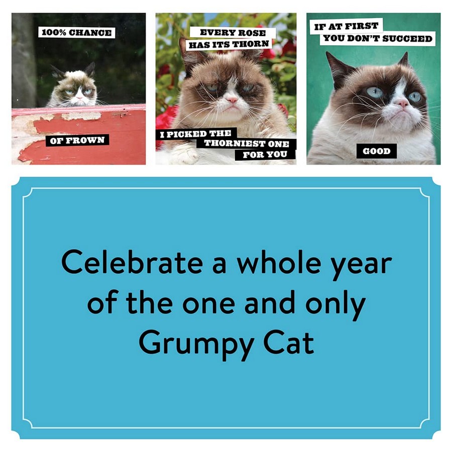 [object Object] «2024 Wall Cal: Grumpy Cat» - фото №3 - миниатюра