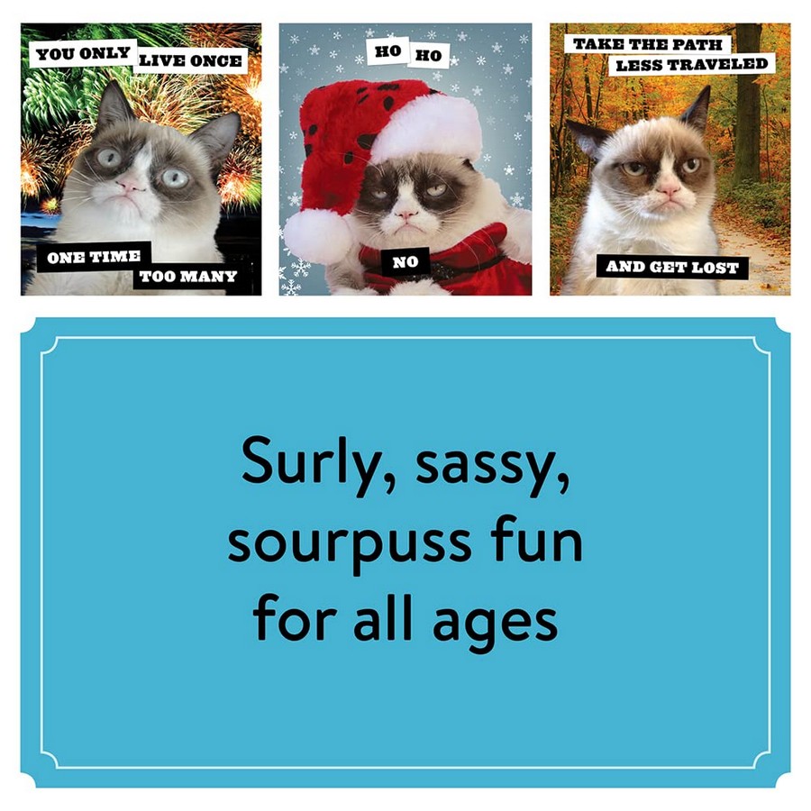 [object Object] «2024 Wall Cal: Grumpy Cat» - фото №4 - миниатюра