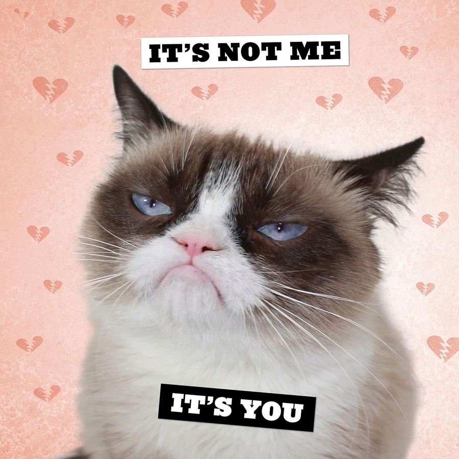 [object Object] «2024 Wall Cal: Grumpy Cat» - фото №5 - миниатюра