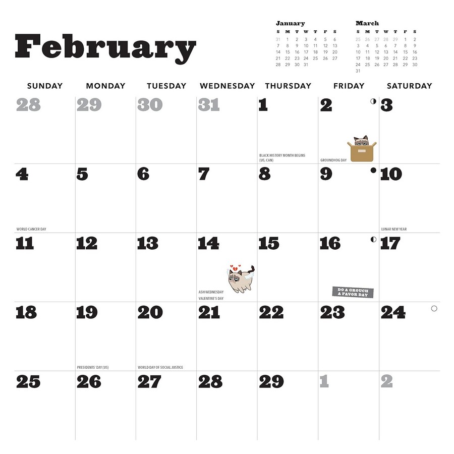 [object Object] «2024 Wall Cal: Grumpy Cat» - фото №6 - миниатюра