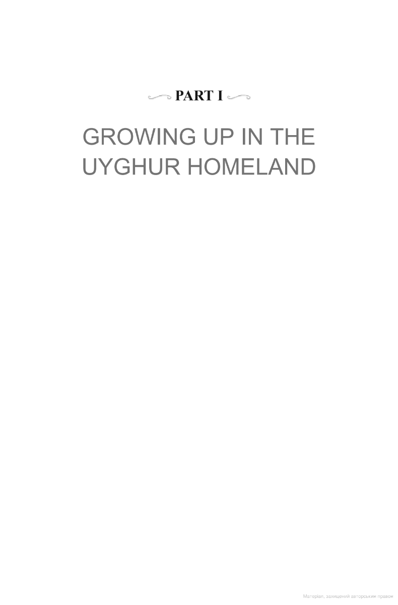 [object Object] «A Stone is Most Precious Where It Belongs. A Memoir of Uyghur Loss, Exile and Hope», автор Гюльчехра Ходжа - фото №2 - миниатюра