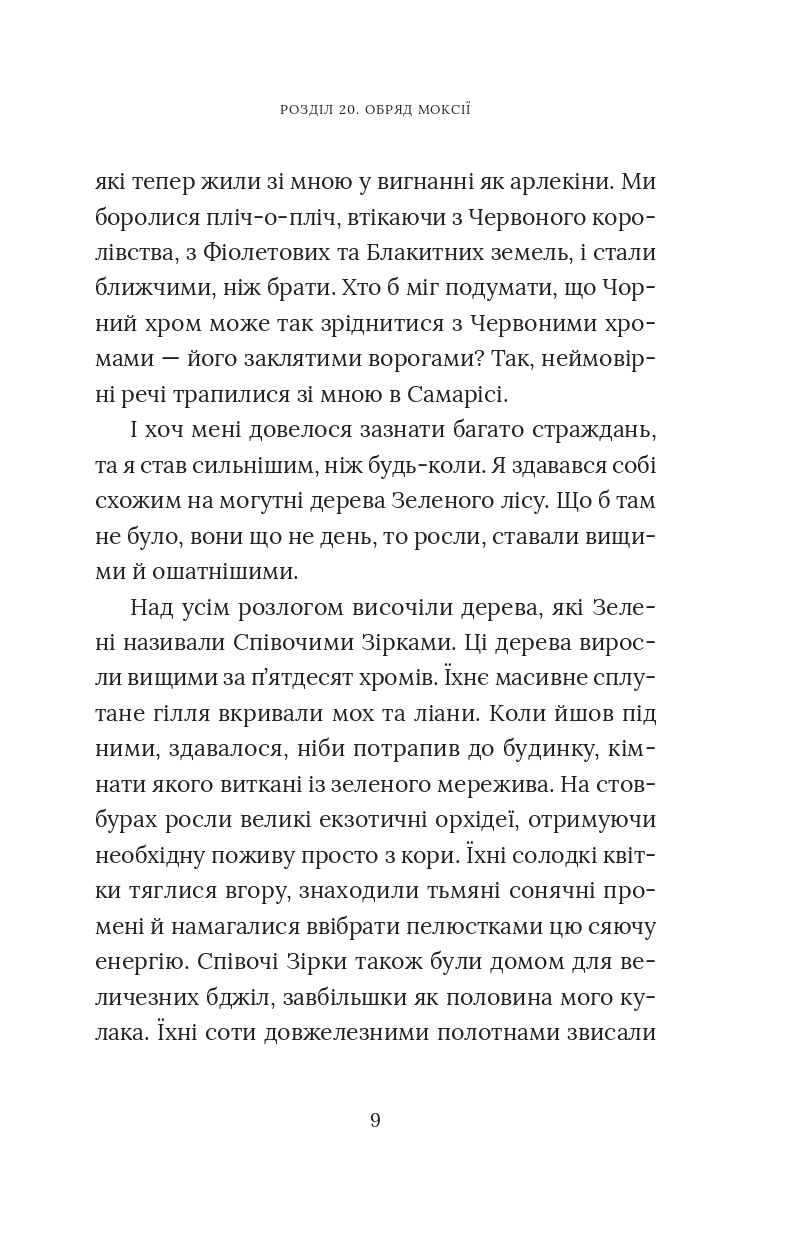 Червоний Арлекін. Книга 3. Повстання Арлекіна — фото 11