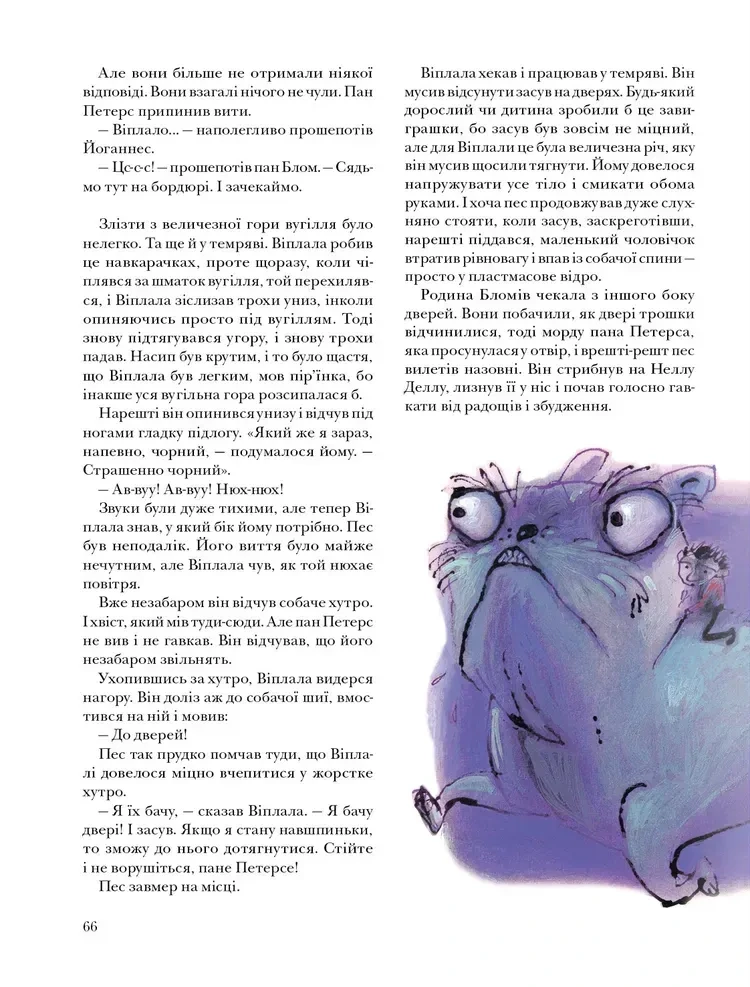 І знову Віплала — фото 10