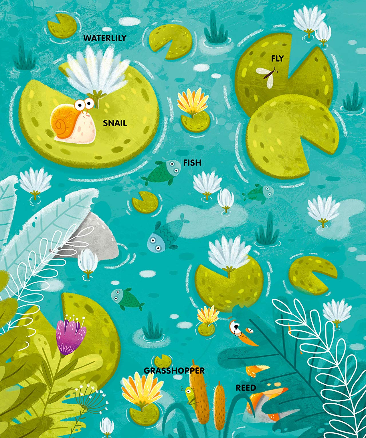 [object Object] «Colors To Learn. Lift-The-Flap Book» - фото №3 - миниатюра
