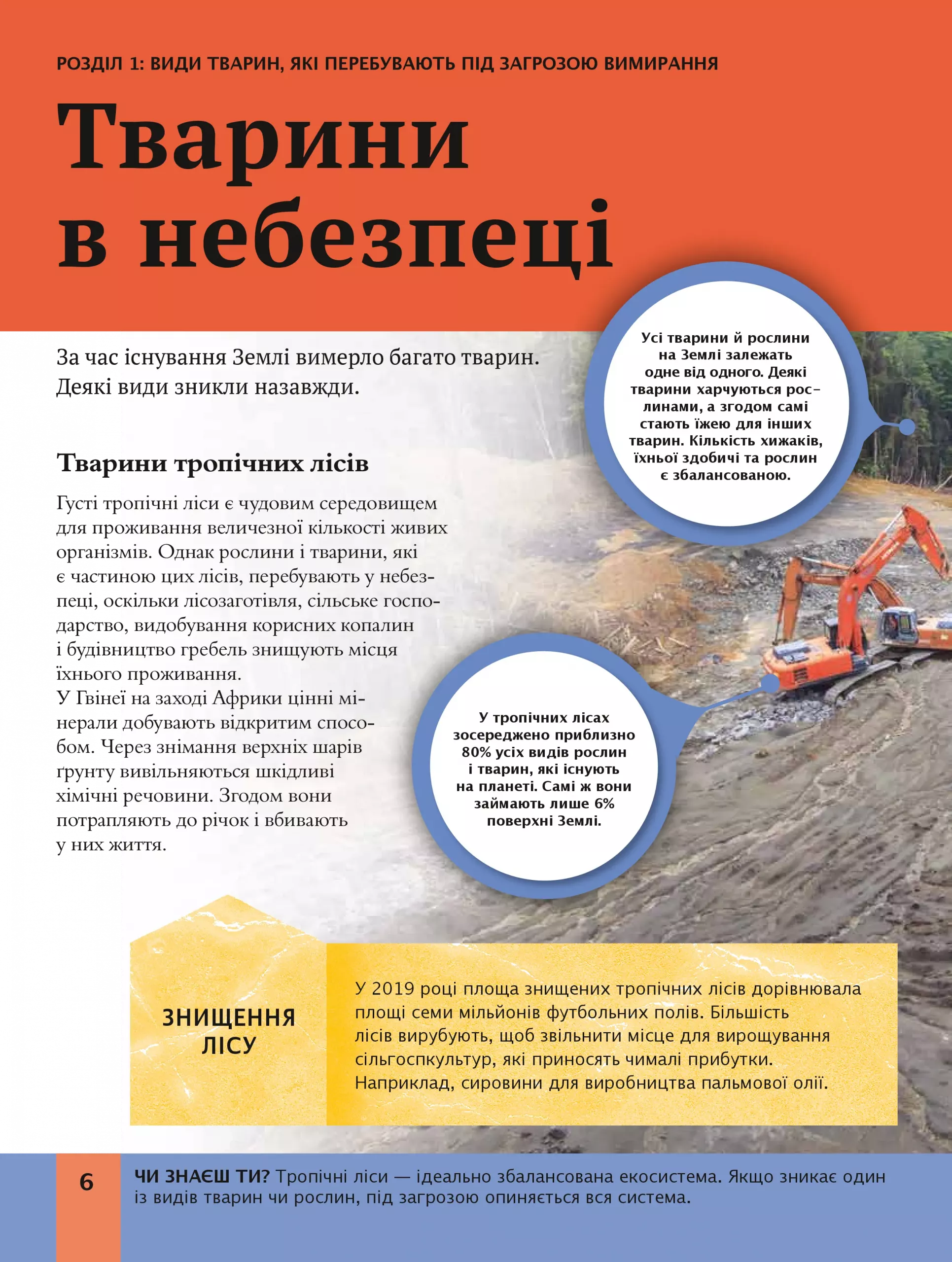 Дитяча енциклопедія довкілля — фото 10