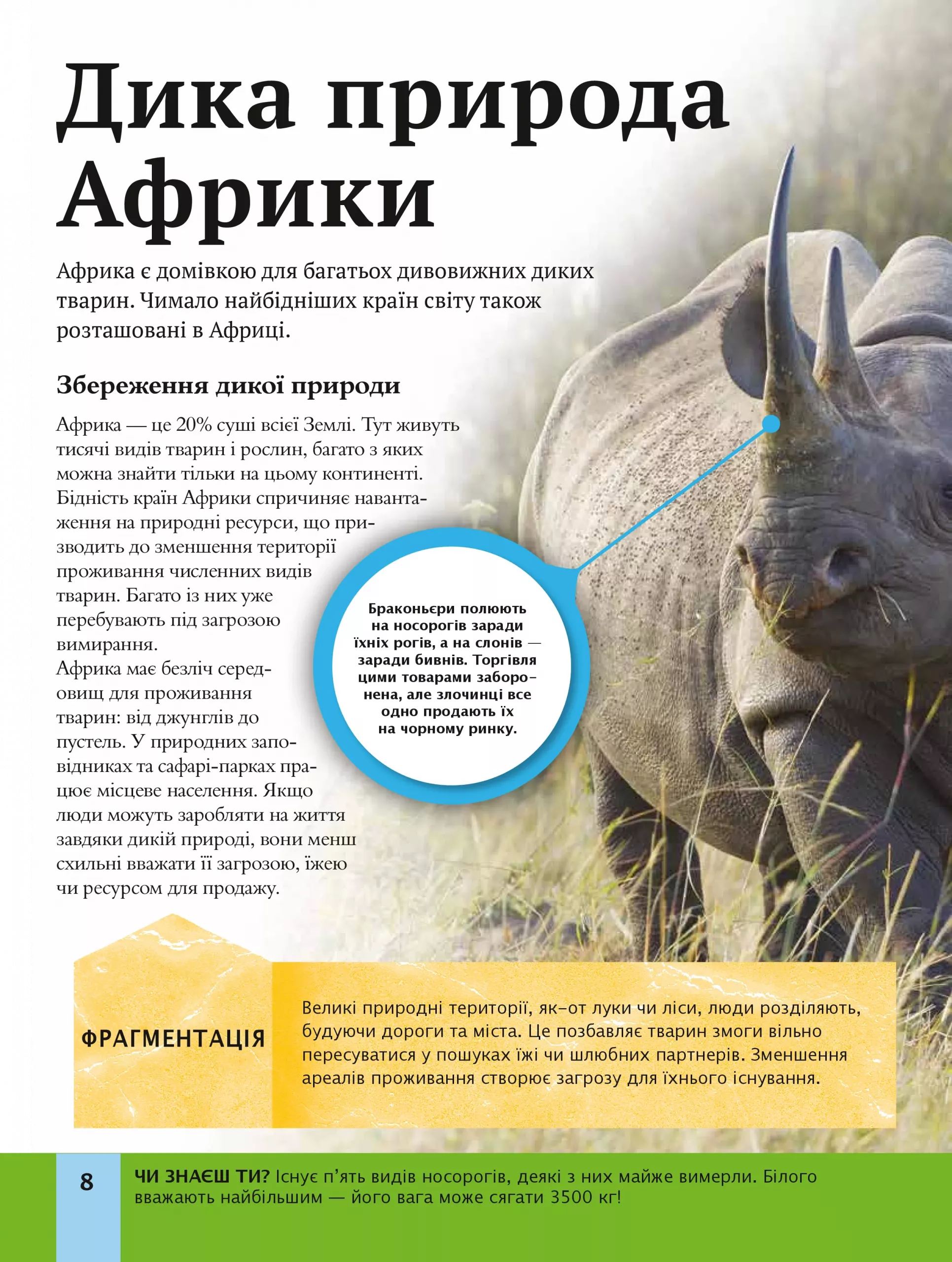 Дитяча енциклопедія довкілля — фото 12