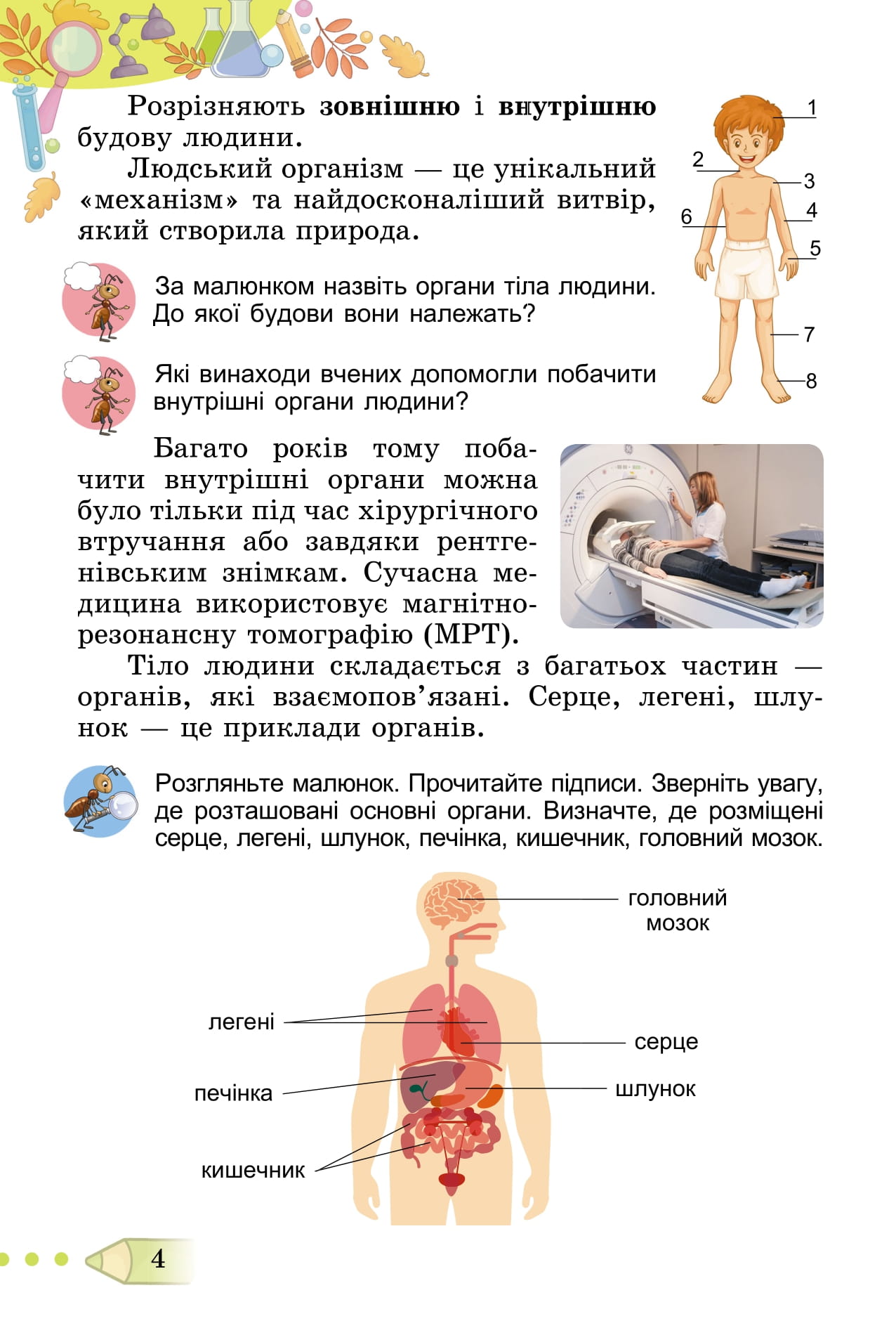 [object Object] «Я досліджую світ. 3клас. Підручник у 2-х частинах. Частина 2», авторів Тетяна Гильберг, Світлана Тарнавська, Лариса Грубіян, Ніна Павич - фото №5 - мініатюра