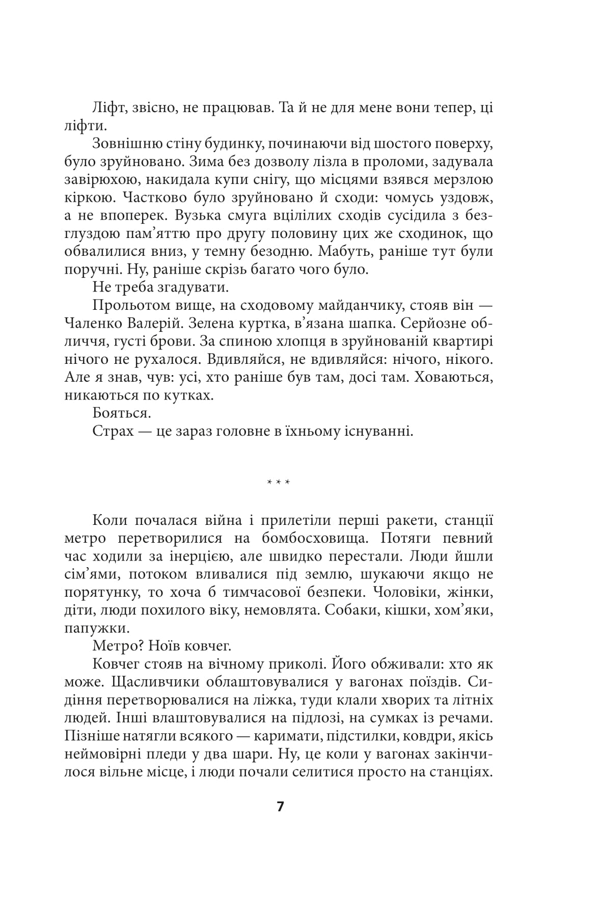Чорна поземка — фото 7