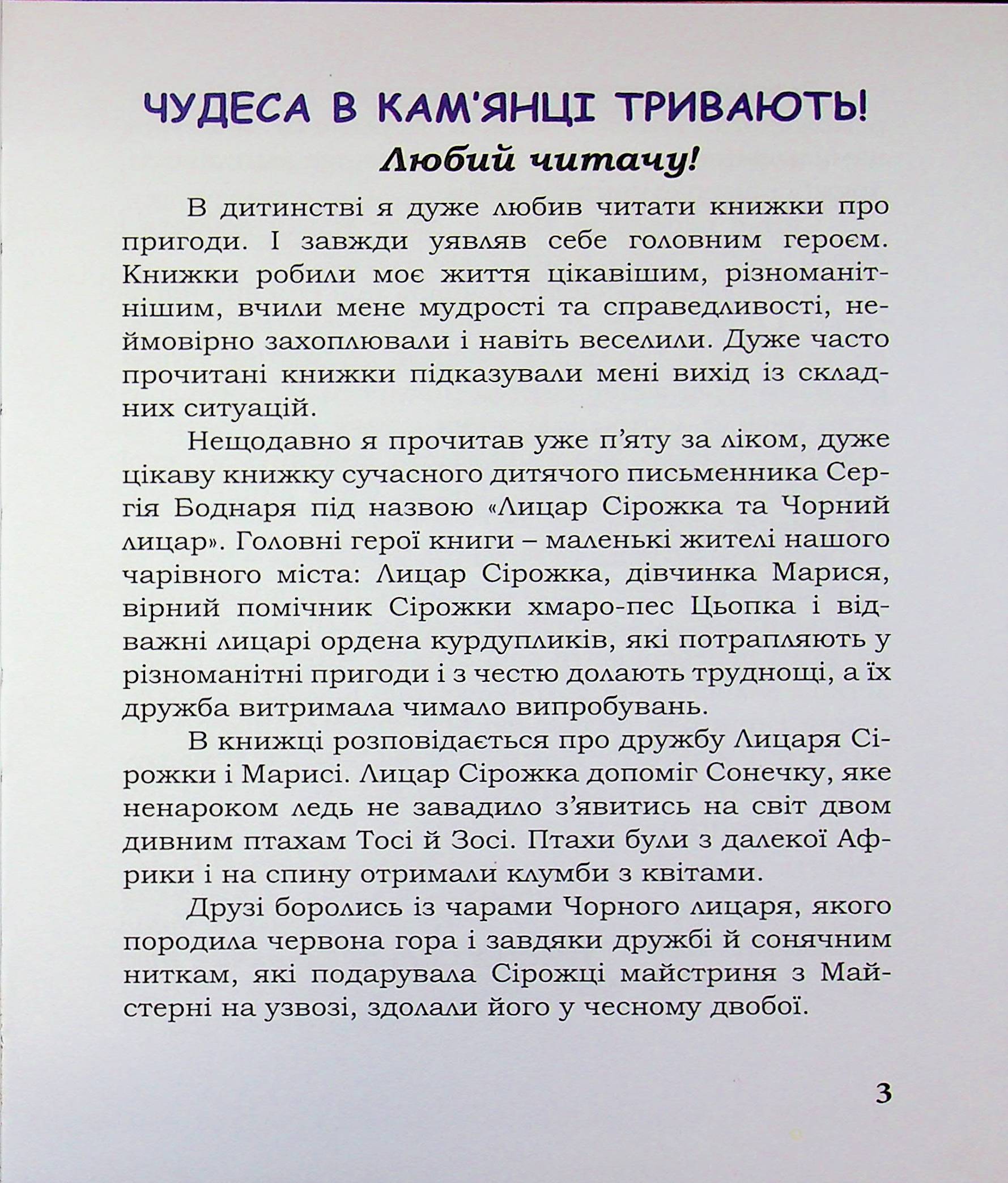 Лицар Сірожка та Чорний лицар. Книга 4 — фото 3