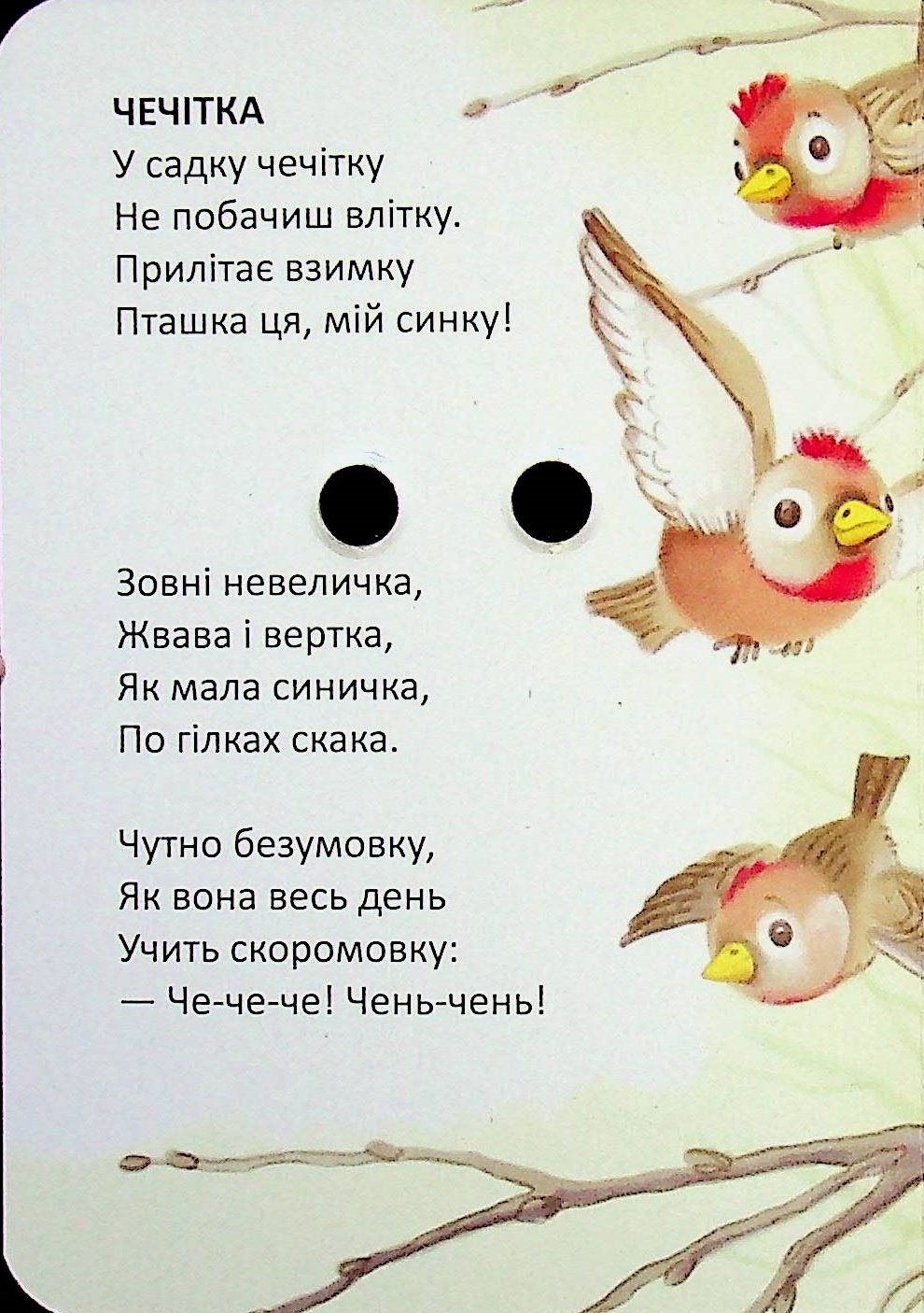 Квіткова лічба — фото 5
