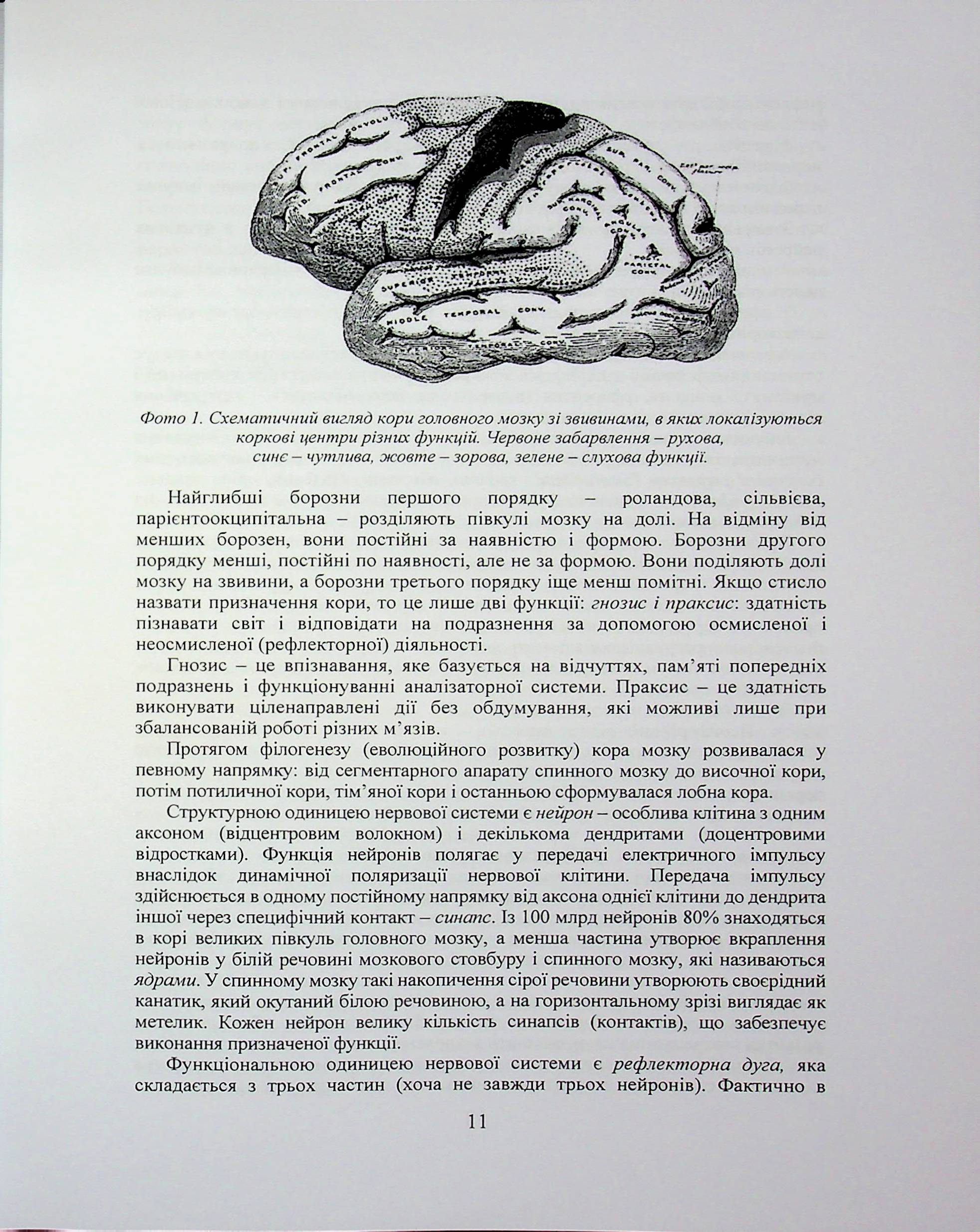 Людські недуги, як хвороби тіла, психіки, характеру і виховання — фото 15