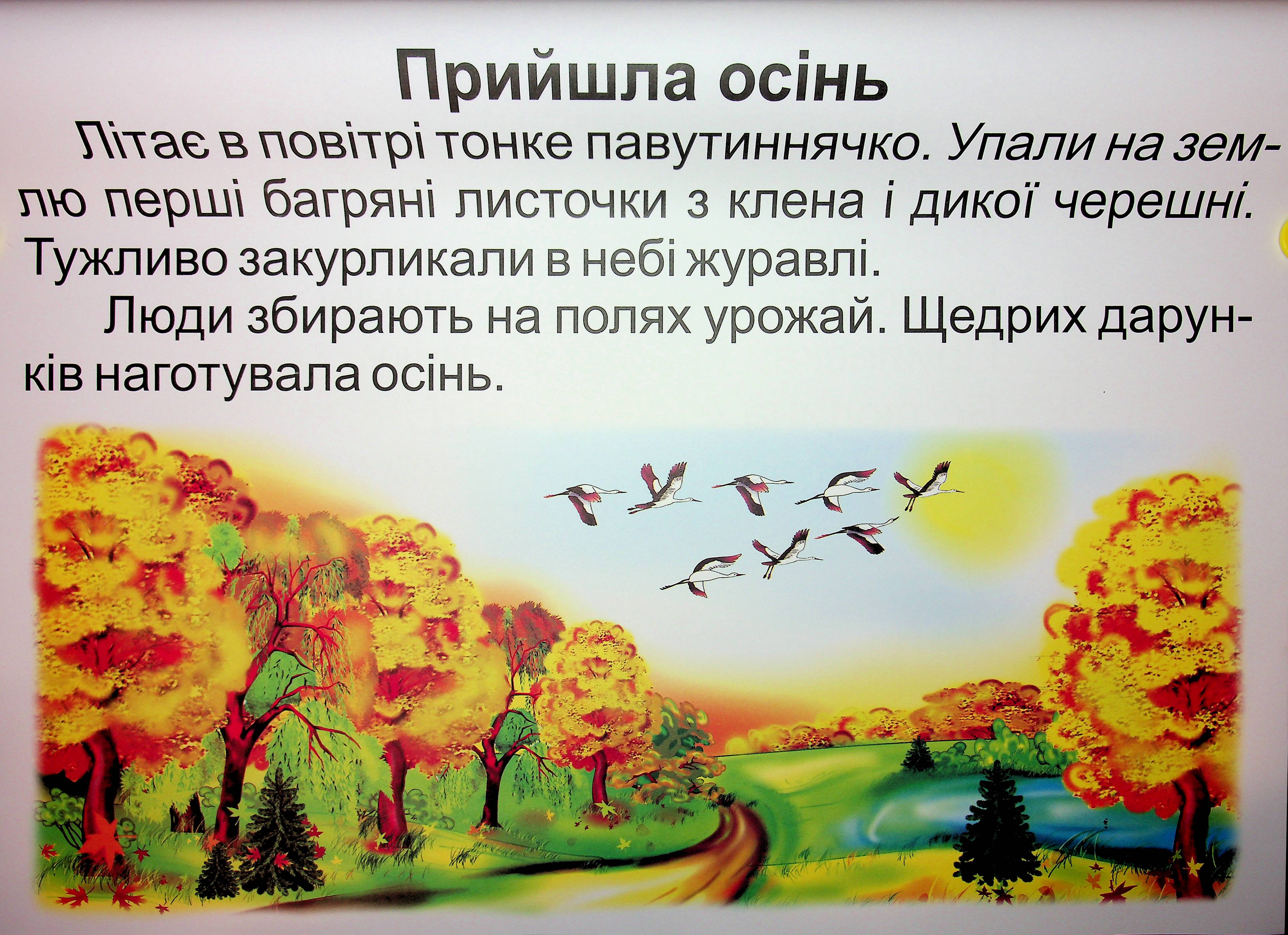 Комплект плакатів Українська мова. 3 клас (До підручника Вашуленко) — фото 11