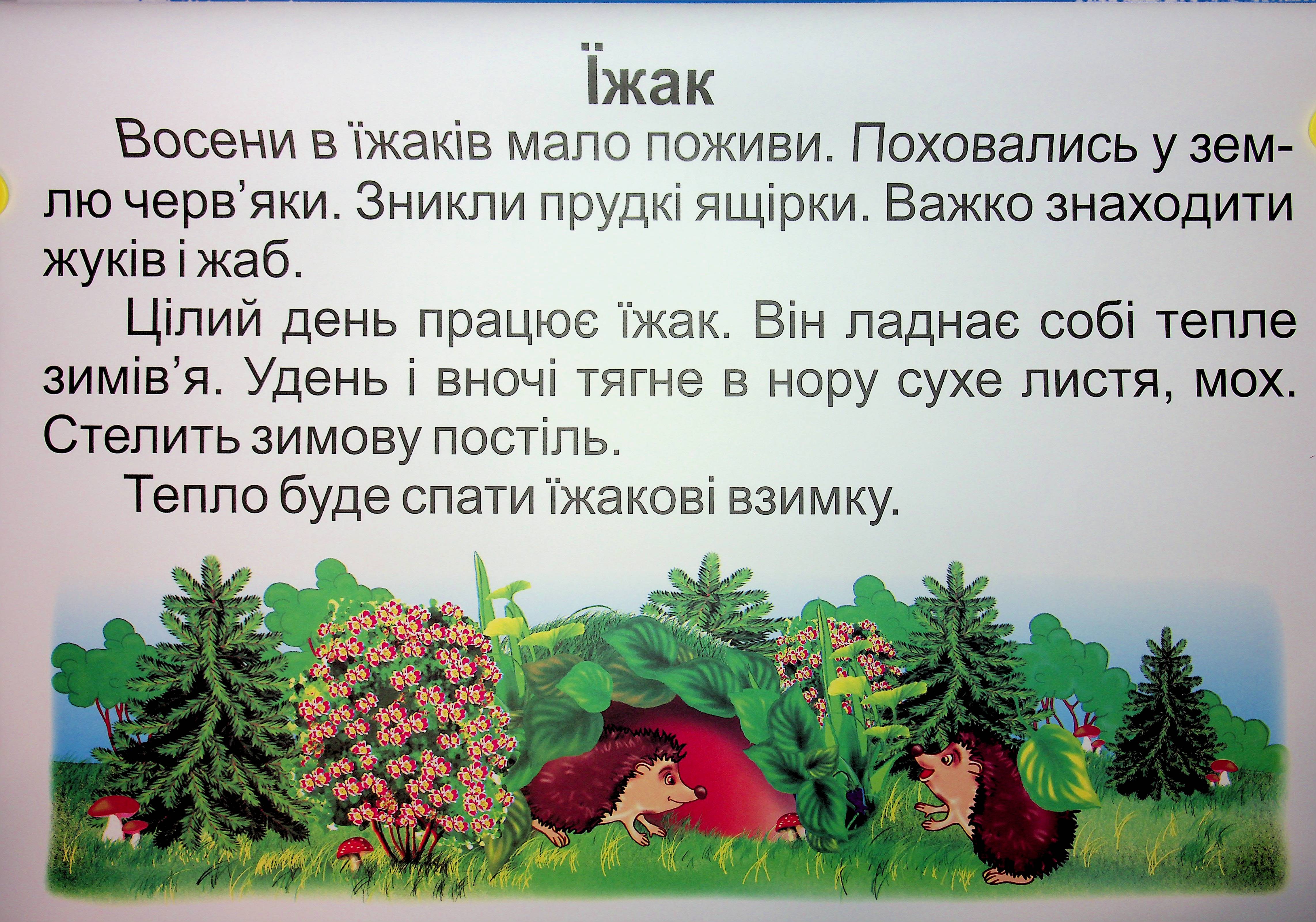 Комплект плакатів Українська мова. 3 клас (До підручника Вашуленко) — фото 13