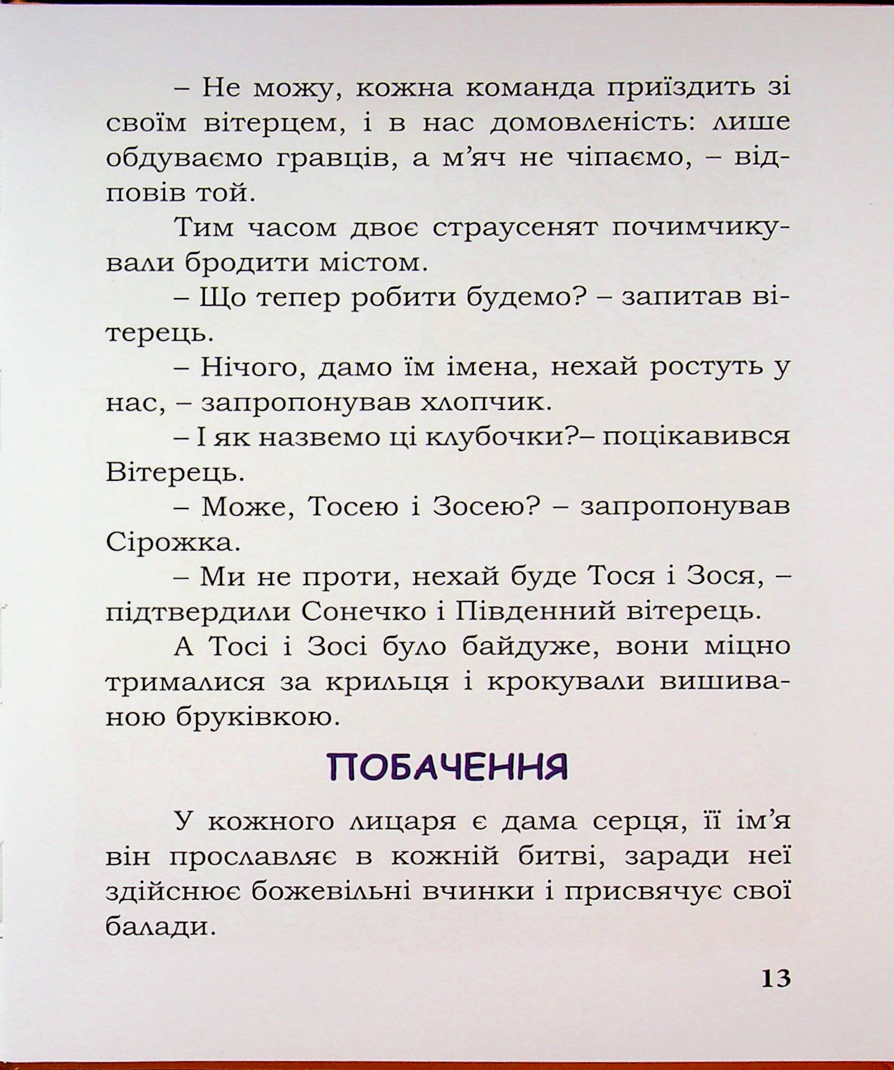 Лицар Сірожка та Чорний лицар. Книга 4 — фото 13