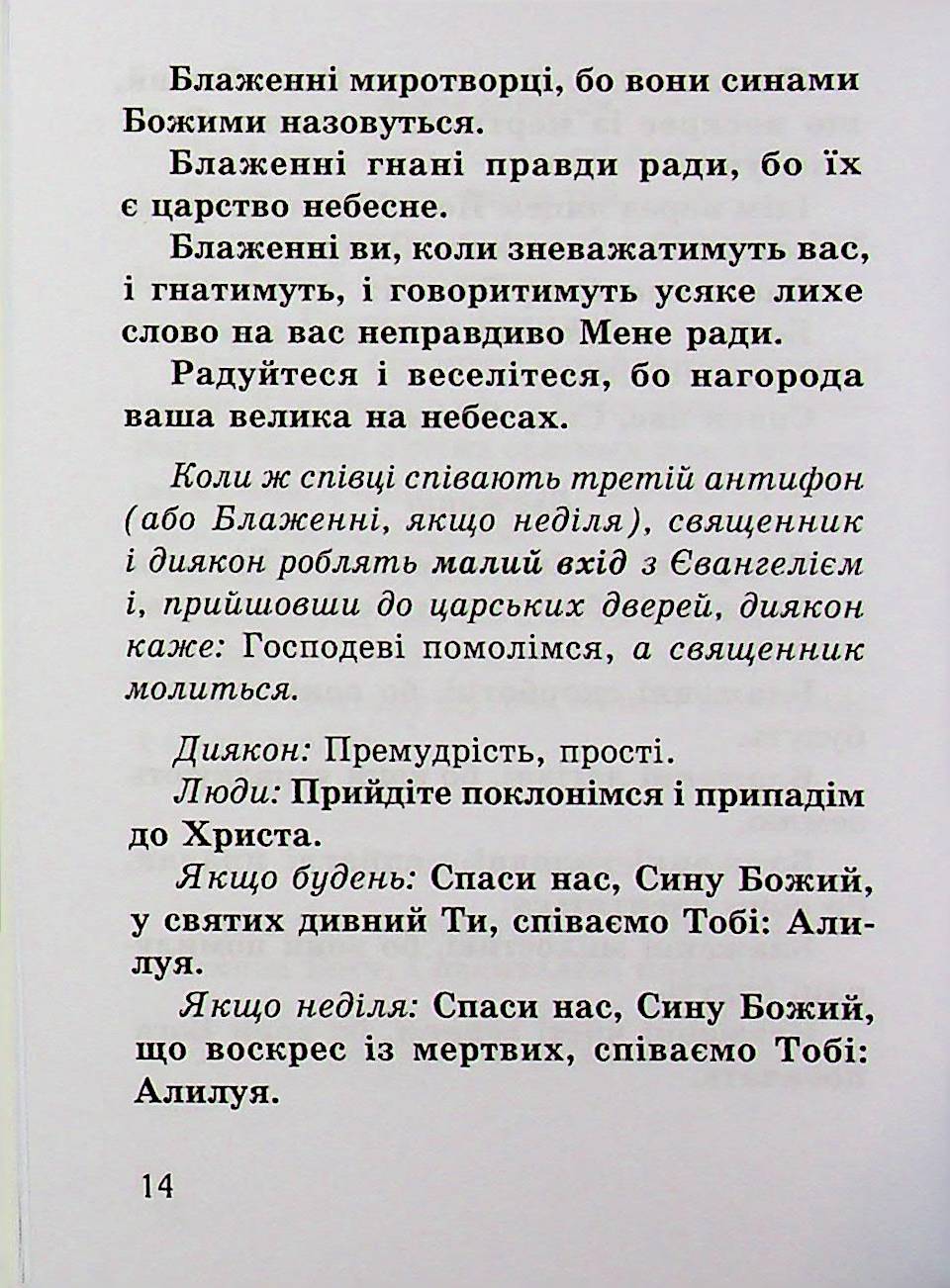 Божественна літургія св. Івана Золотоустого — фото 14