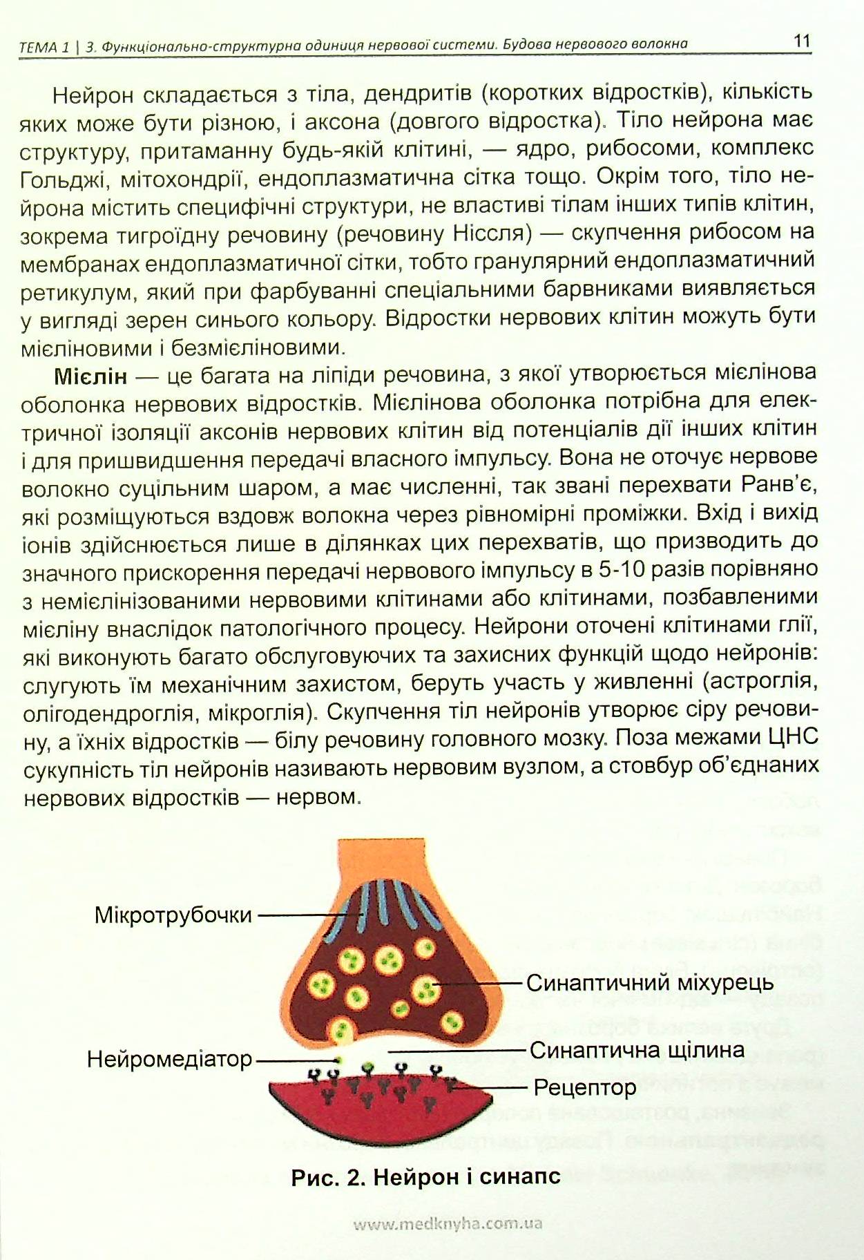 Нейростоматологія — фото 11